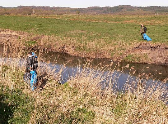 Wysprzątali rzekę Łebę 14460