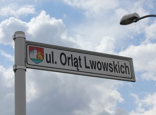 Asfalt na Orląt Lwowskich 15225