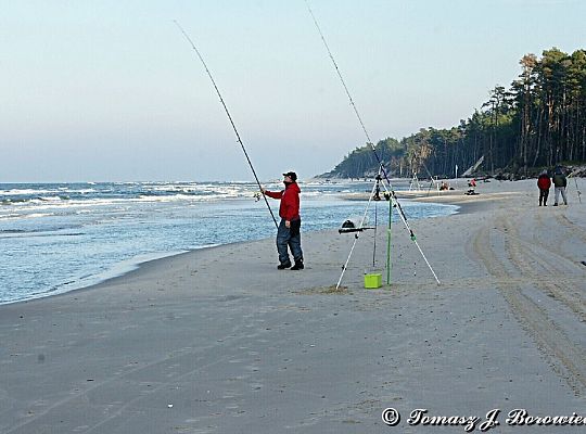 VII Mistrzostwa Polski w Sufrcastingu 16477