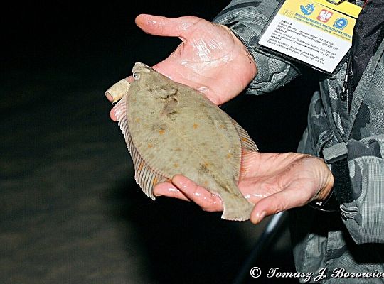 VII Mistrzostwa Polski w Sufrcastingu 16480