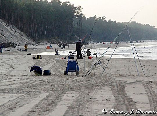 VII Mistrzostwa Polski w Sufrcastingu 16483