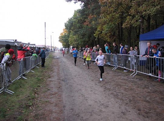 Kolejny bieg z cyklu o Puchar Grand-Prix Lęborka 16570