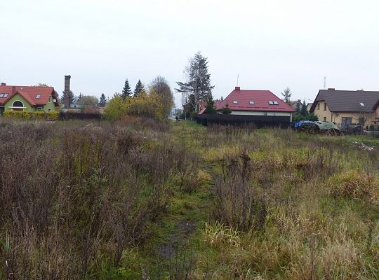 Wybrano wykonawcę mostu przy ul. Weterynaryjnej 16677