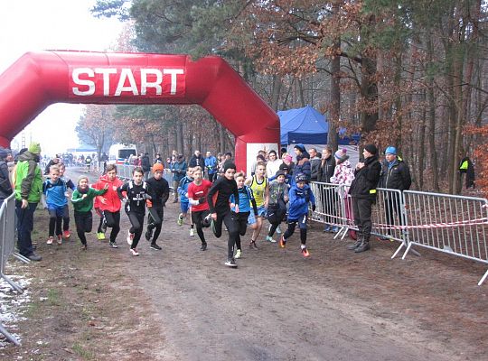 Biegi Przełajowe z okazji Święta Niepodległości 17121