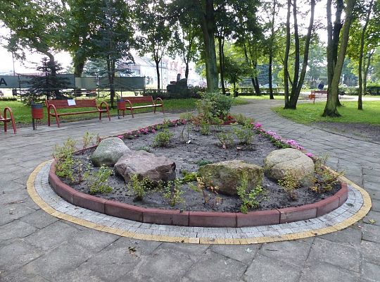 Nowy klomb, ławki i kosze w Parku im. Michalskiego 21611
