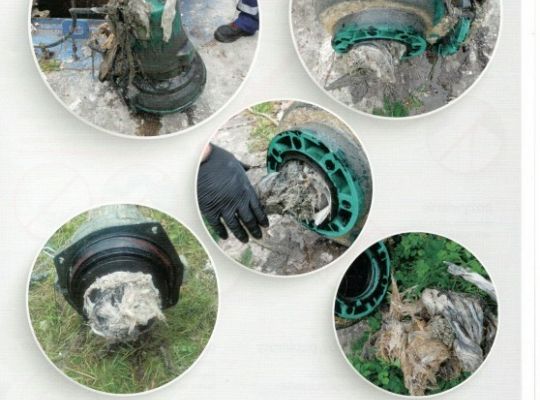 „Sedes to nie śmietnik” – akcja informacyjna 21664