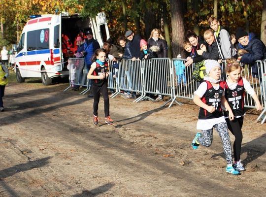 Indywidualne Biegi Przełajowe z okazji Święta 21685