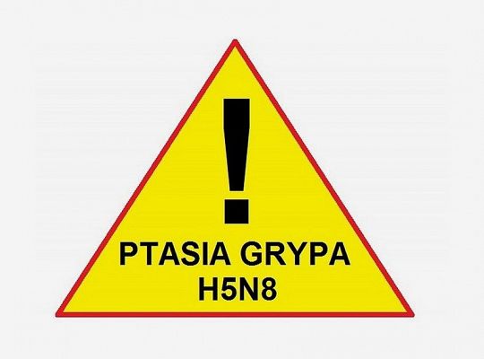 Uwaga hodowcy drobiu! Ptasia grypa nadal groźna! 22229