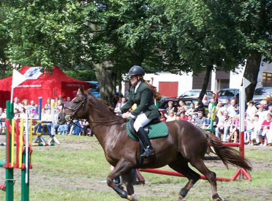 Widowiskowe zawody jeździeckie w Parku Chrobrego 796