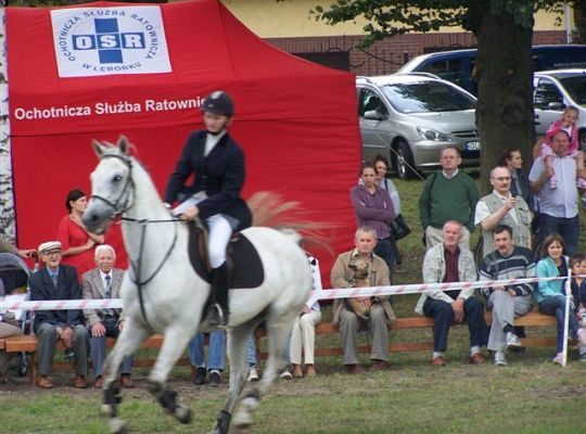Widowiskowe zawody jeździeckie w Parku Chrobrego 797
