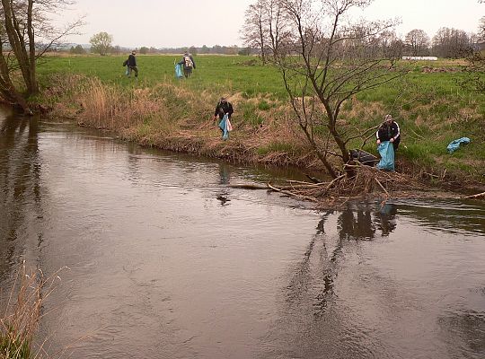Posprzątano rzekę Łebę 24163