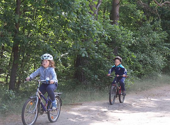 X MTB Tour Lębork - wyniki 24563