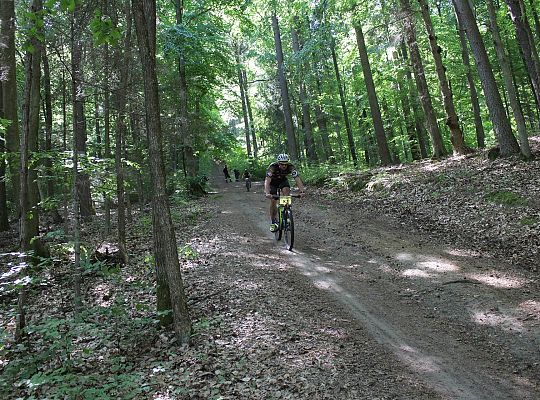 X MTB Tour Lębork - wyniki 24586