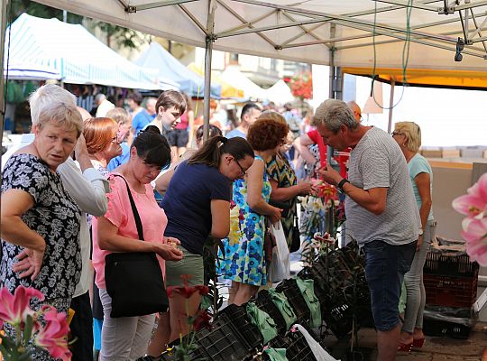 Jubileuszowe Lęborskie Dni Jakubowe AD 2018 25866