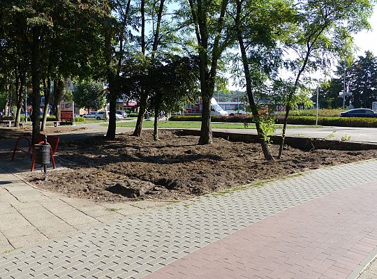 Rusza projekt „Zielony Lębork”. Na początek Park 26696