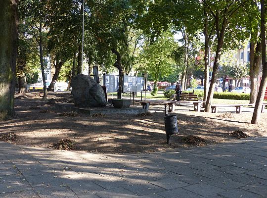 Rusza projekt „Zielony Lębork”. Na początek Park 26698