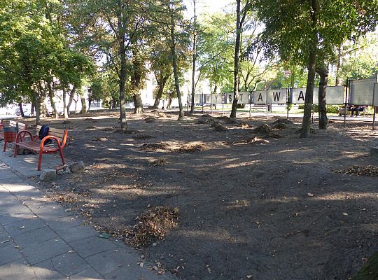 Rusza projekt „Zielony Lębork”. Na początek Park 26699