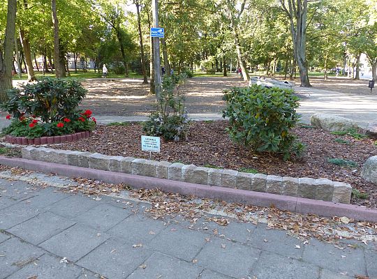 Rusza projekt „Zielony Lębork”. Na początek Park 26701