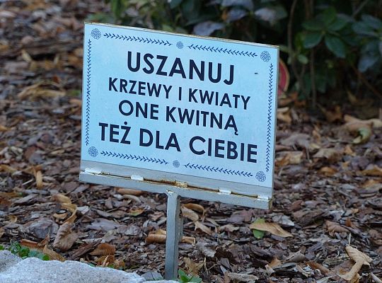 Rusza projekt „Zielony Lębork”. Na początek Park 26702