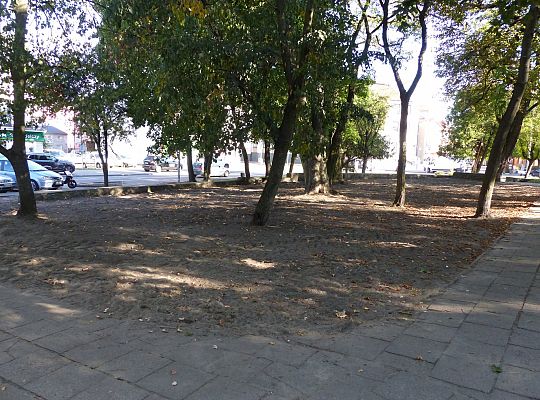 Rusza projekt „Zielony Lębork”. Na początek Park 26705