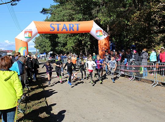 Indywidualne Biegi Przełajowe o Przełajowe o 26890