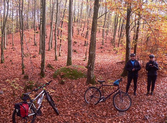 Rajd Pocztylion - rowerami po ziemi lęborskiej 27217