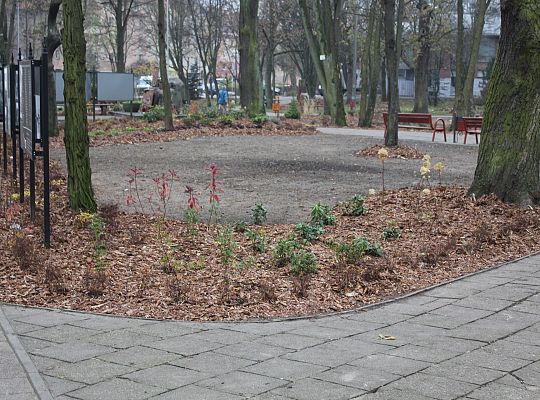 „Zielona rewolucja” w Parku im. Michalskiego 27958
