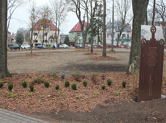 „Zielona rewolucja” w Parku im. Michalskiego 27967