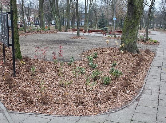 „Zielona rewolucja” w Parku im. Michalskiego 27972