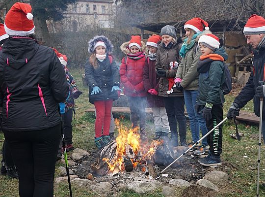 Mikołaje maszerowały z kijkami 28019