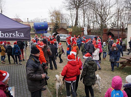 Mikołaje maszerowały z kijkami 28022