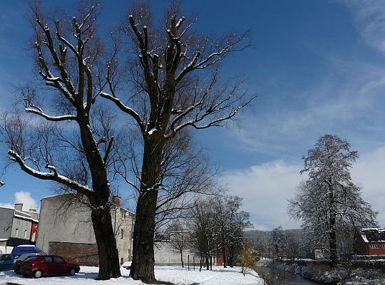 Na ratunek „Wodniczkom” 28963