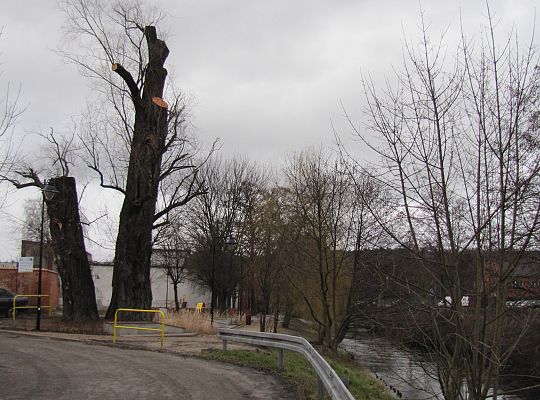 Na ratunek „Wodniczkom” 28966