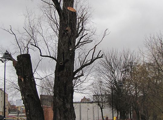 Na ratunek „Wodniczkom” 28967