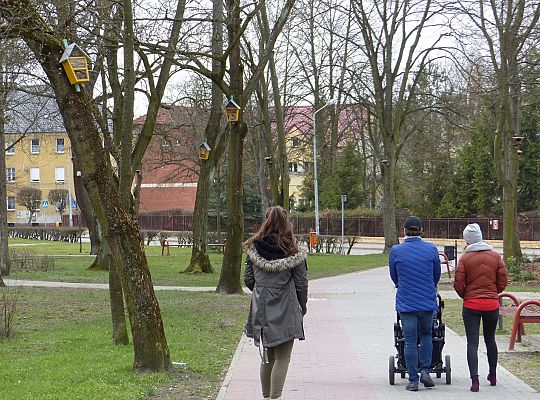 W Parku im. Michalskiego zawisły budki na ptaki i 29440