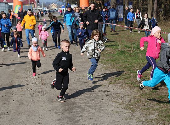 Biegi Przełajowe o Puchar Grand-Prix Lęborka 29559