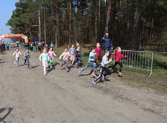 Biegi Przełajowe o Puchar Grand-Prix Lęborka 29565