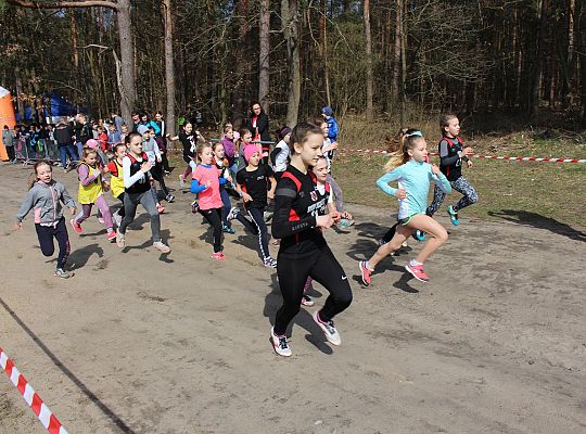 Biegi Przełajowe o Puchar Grand-Prix Lęborka 29578