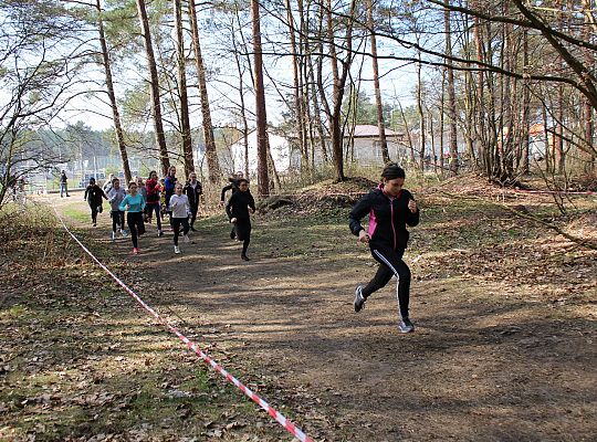 Biegi Przełajowe o Puchar Grand-Prix Lęborka 29585