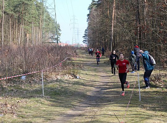 Biegi Przełajowe o Puchar Grand-Prix Lęborka 29587