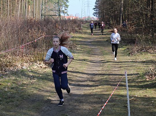 Biegi Przełajowe o Puchar Grand-Prix Lęborka 29591