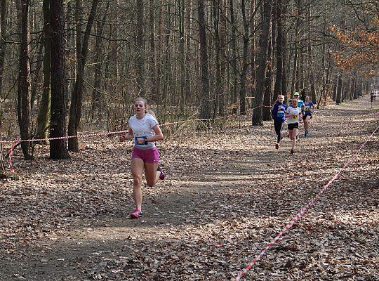 Biegi Przełajowe o Puchar Grand-Prix Lęborka 29612