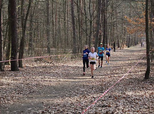 Biegi Przełajowe o Puchar Grand-Prix Lęborka 29615