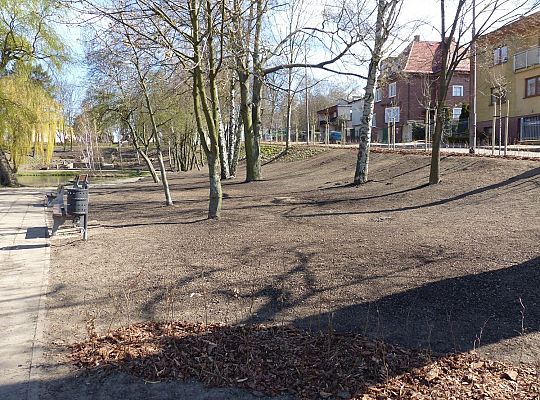 Zielono przy stawie w Parku Chrobrego 30015