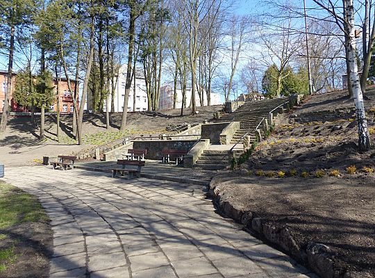 Zielono przy stawie w Parku Chrobrego 30030