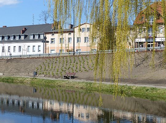 Zielono przy stawie w Parku Chrobrego 30031