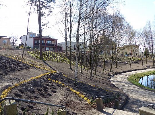 Zielono przy stawie w Parku Chrobrego 30033