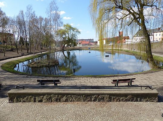 Zielono przy stawie w Parku Chrobrego 30034