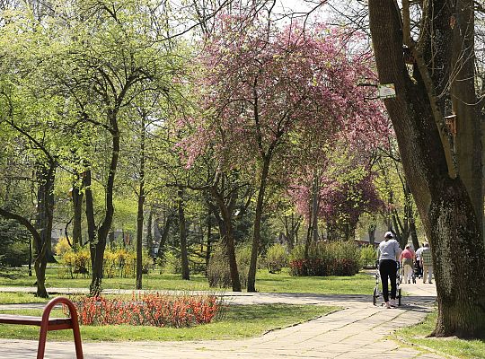 Wiosennie w lęborskim parku 30143