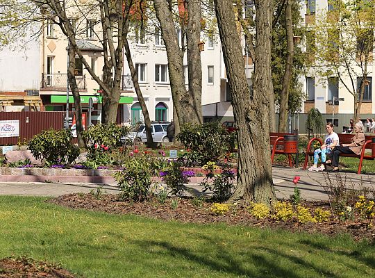 Wiosennie w lęborskim parku 30144
